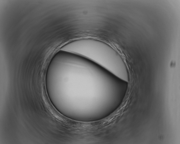 X0000097630097200802290854