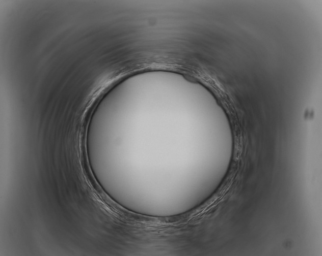 X0000097630098200802290854