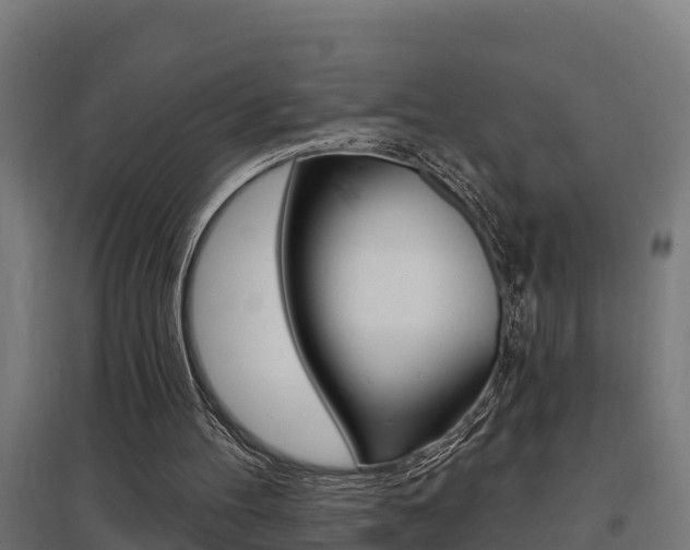X0000097630100200802290854