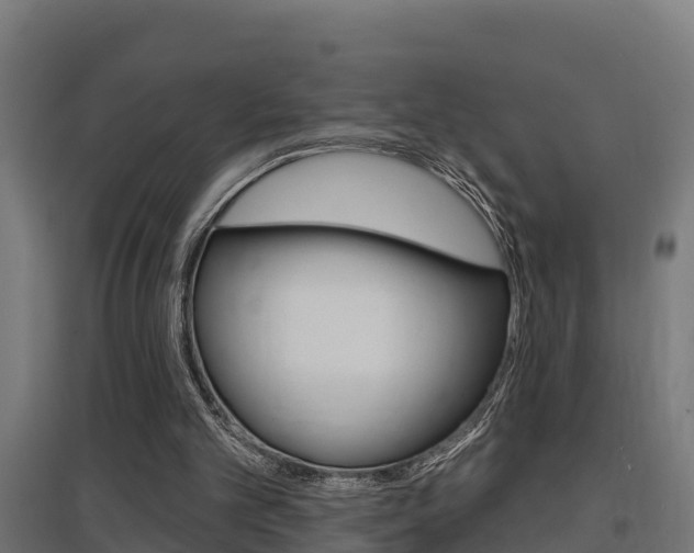 X0000097630101200802290854