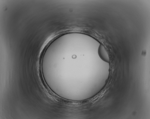 X0000097630102200802290853