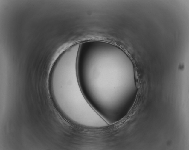 X0000097630104200802290853