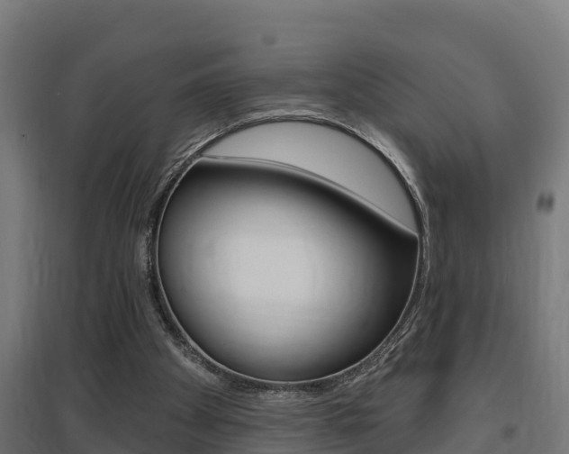 X0000097630105200802290853