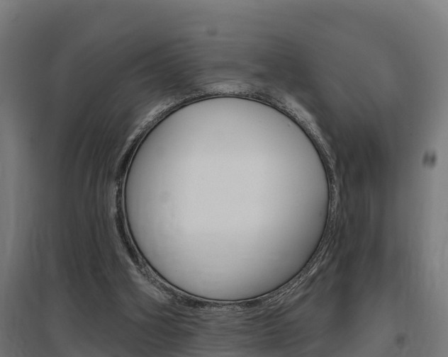 X0000097630106200802290853