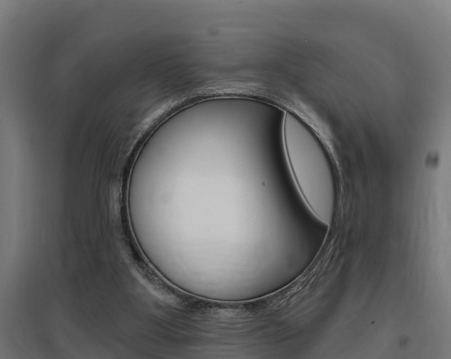 X0000097630107200802290853