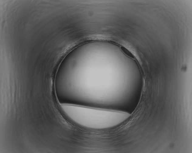 X0000097630109200802290853
