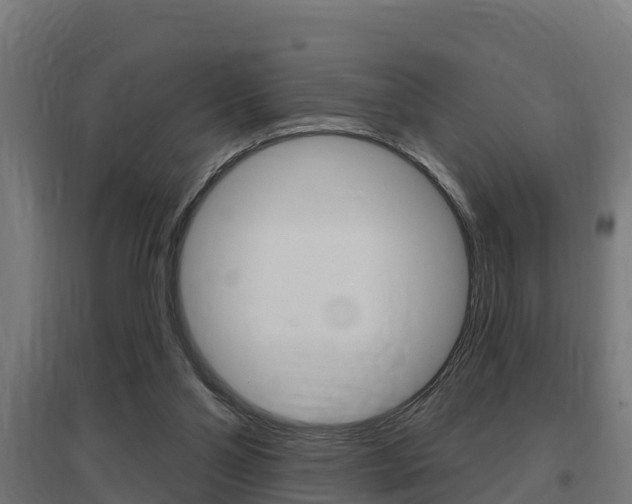 X0000097630110200802290853