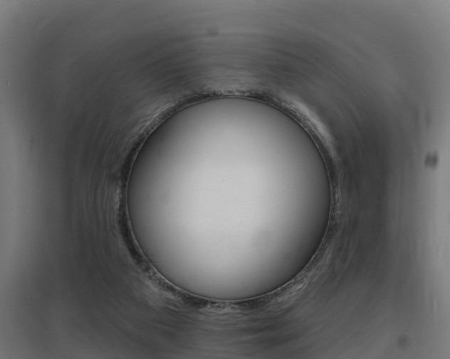 X0000097630113200802290853