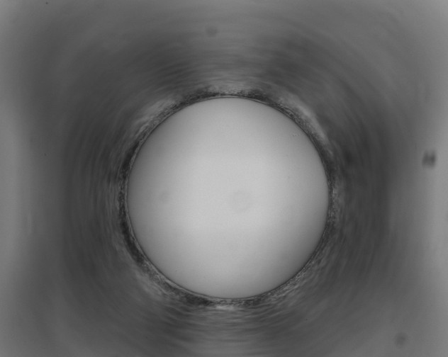 X0000097630114200802290853