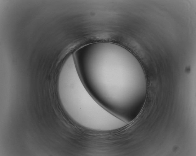 X0000097630116200802290853