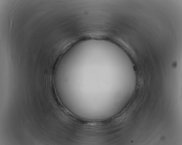 X0000097630117200802290853