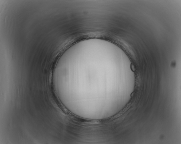 X0000097630118200802290853