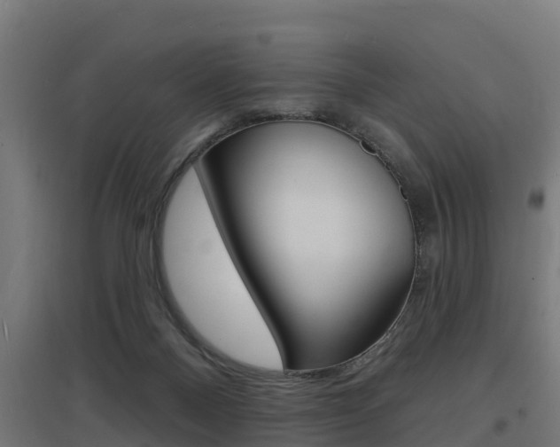 X0000097630120200802290853