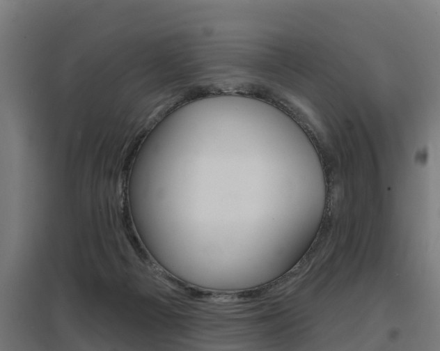 X0000097630121200802290853