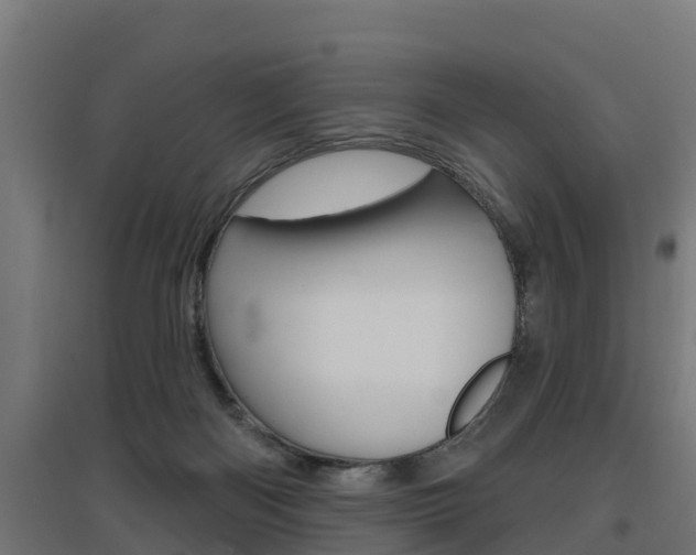 X0000097630122200802290853