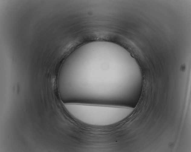 X0000097630123200802290853