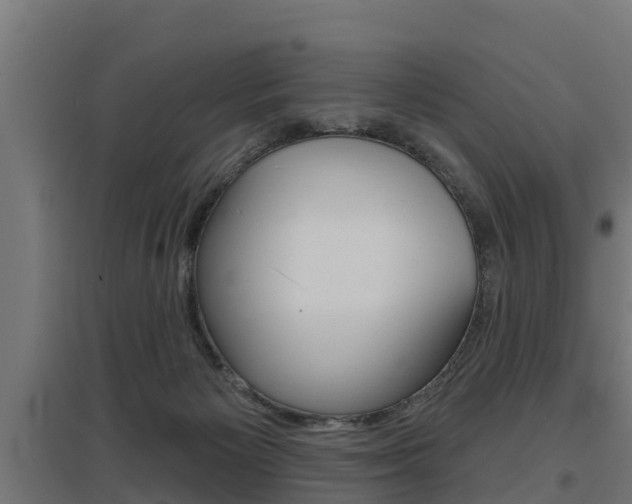 X0000097630125200802290853