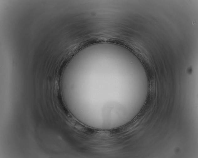 X0000097630127200802290853