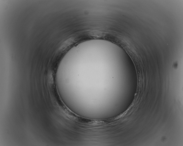 X0000097630128200802290853
