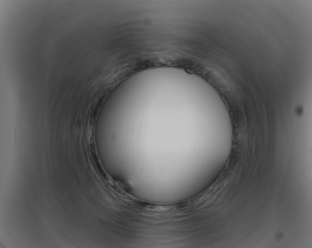 X0000097630129200802290853