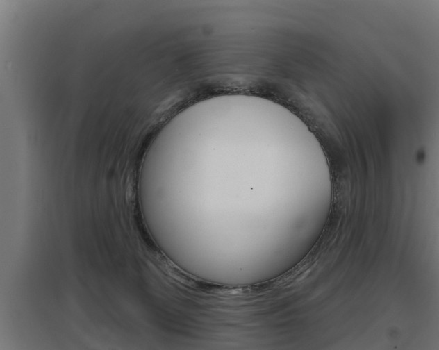 X0000097630131200802290853