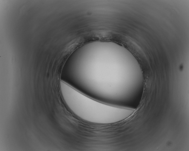 X0000097630132200802290853