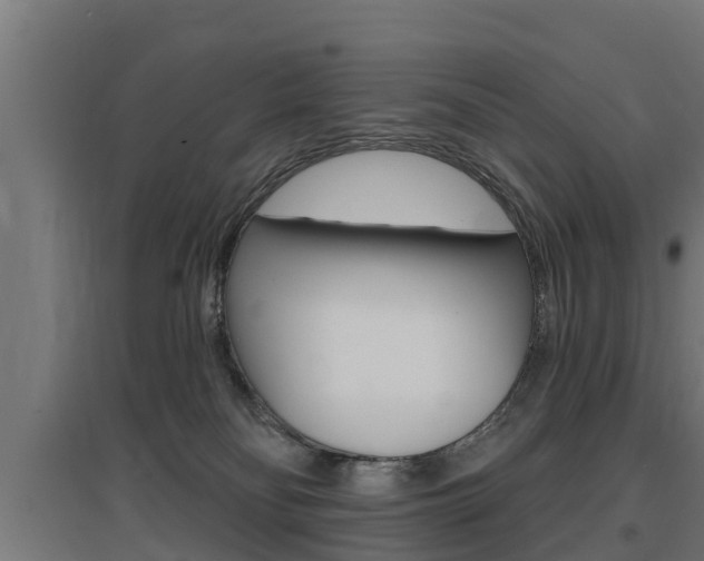 X0000097630134200802290853