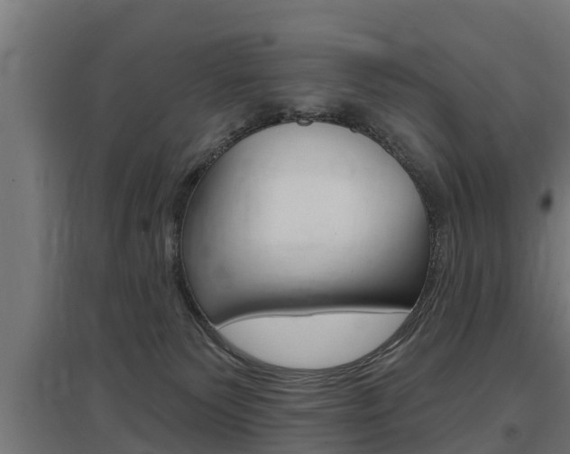 X0000097630135200802290853