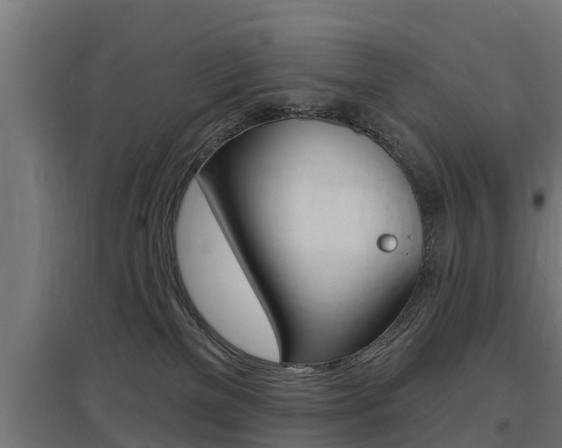 X0000097630137200802290853