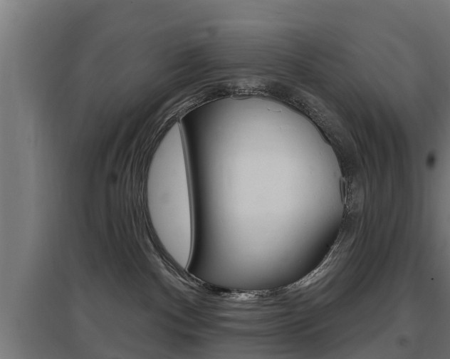 X0000097630140200802290853