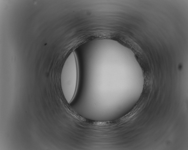 X0000097630141200802290853