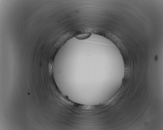X0000097630142200802290853