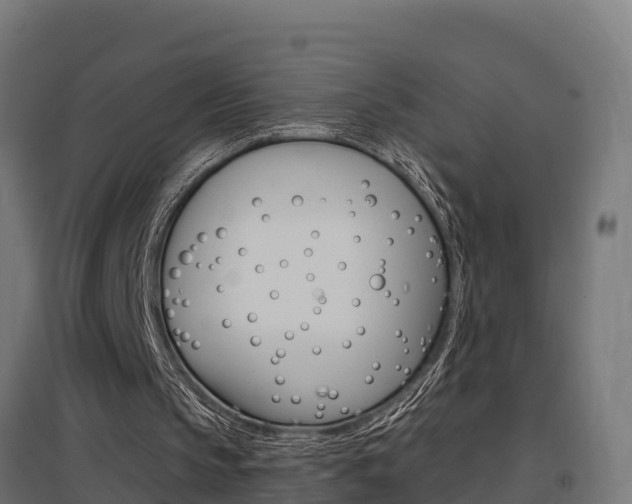 X0000097630145200802290852