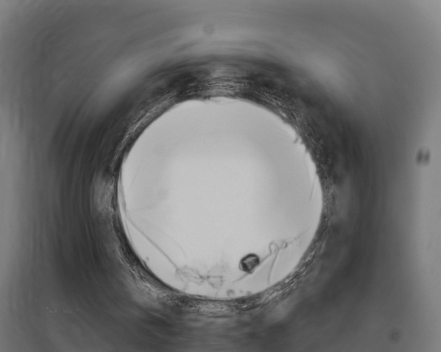 X0000097630146200802290852