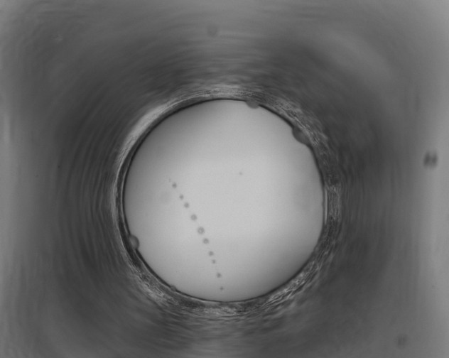 X0000097630147200802290852