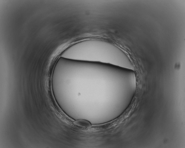 X0000097630149200802290852