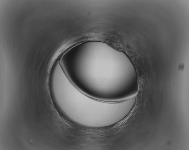 X0000097630150200802290852