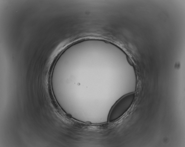 X0000097630151200802290852
