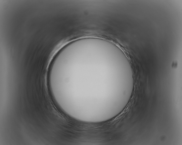 X0000097630152200802290852