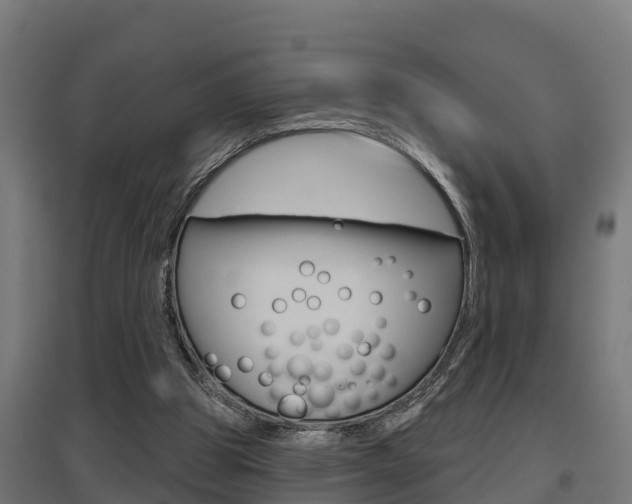 X0000097630153200802290852
