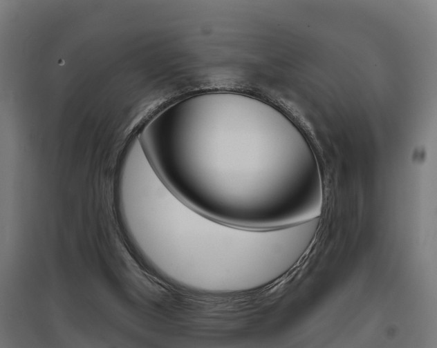 X0000097630154200802290852