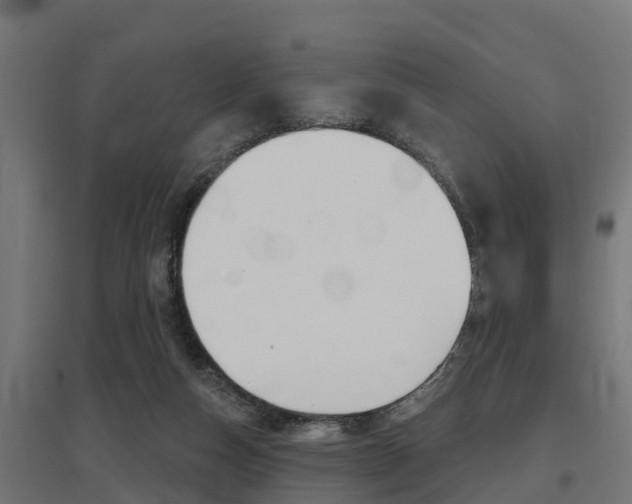 X0000097630162200802290852