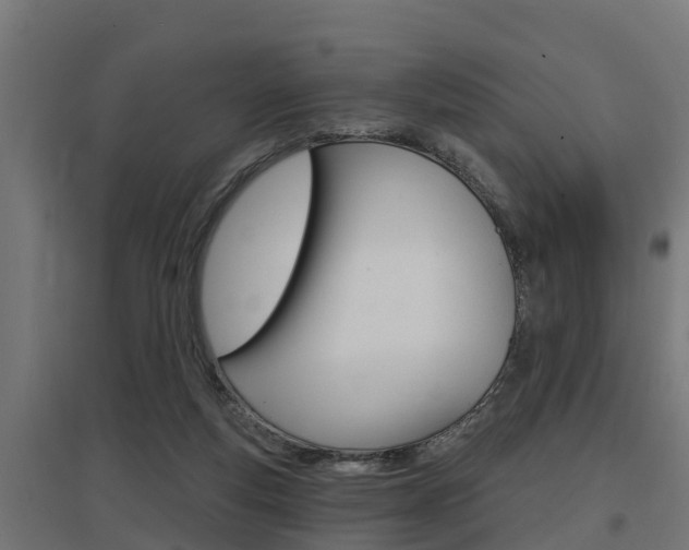 X0000097630163200802290852