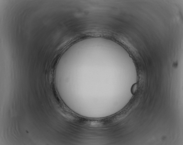 X0000097630165200802290852