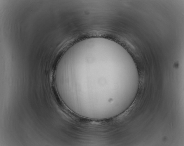 X0000097630166200802290852