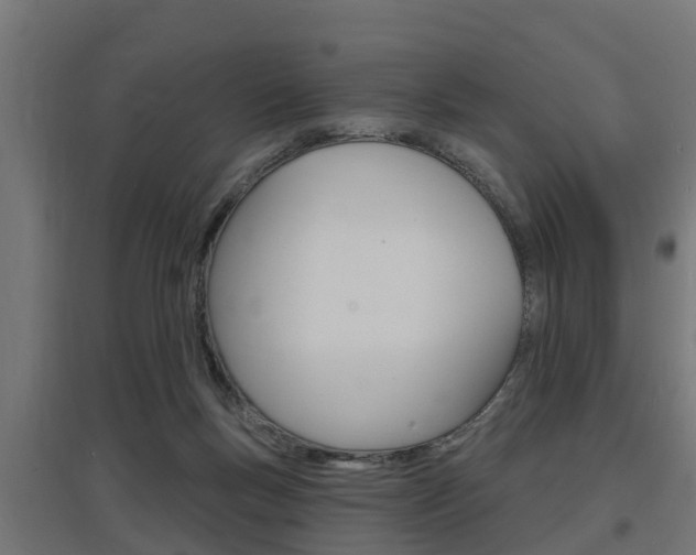 X0000097630167200802290852