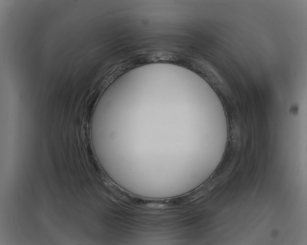 X0000097630169200802290853