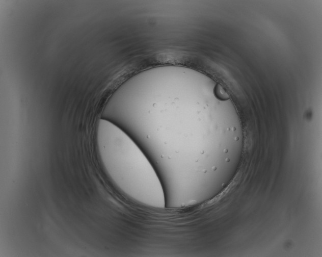 X0000097630171200802290853