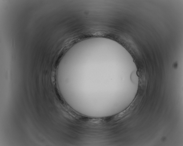 X0000097630175200802290853