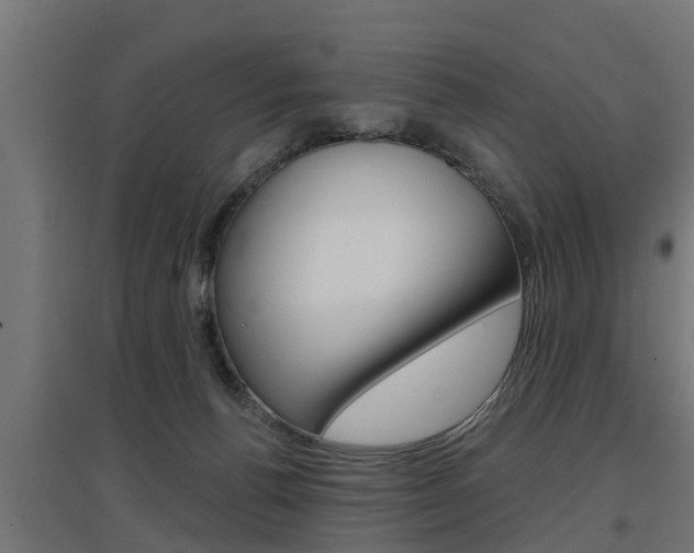 X0000097630176200802290853